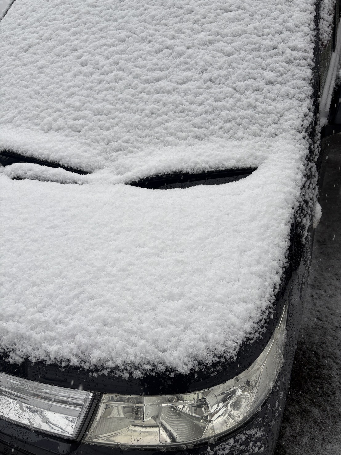 連休の雪、その後のお車はいかがでしょうか！？